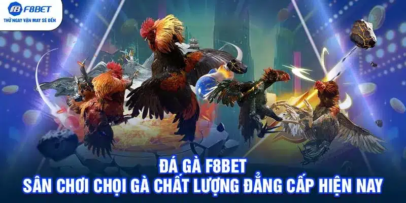 Đá Gà F8BET - Sân Chơi Chọi Gà Chất Lượng Đẳng Cấp Hiện Nay