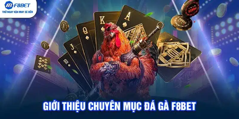 Giới thiệu chuyên mục Đá Gà F8BET