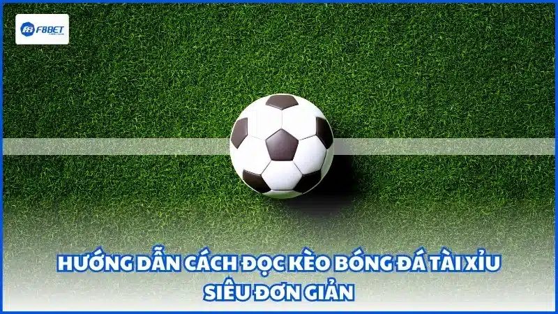 Hướng dẫn bạn mới cách đọc kèo bóng đá Châu Âu